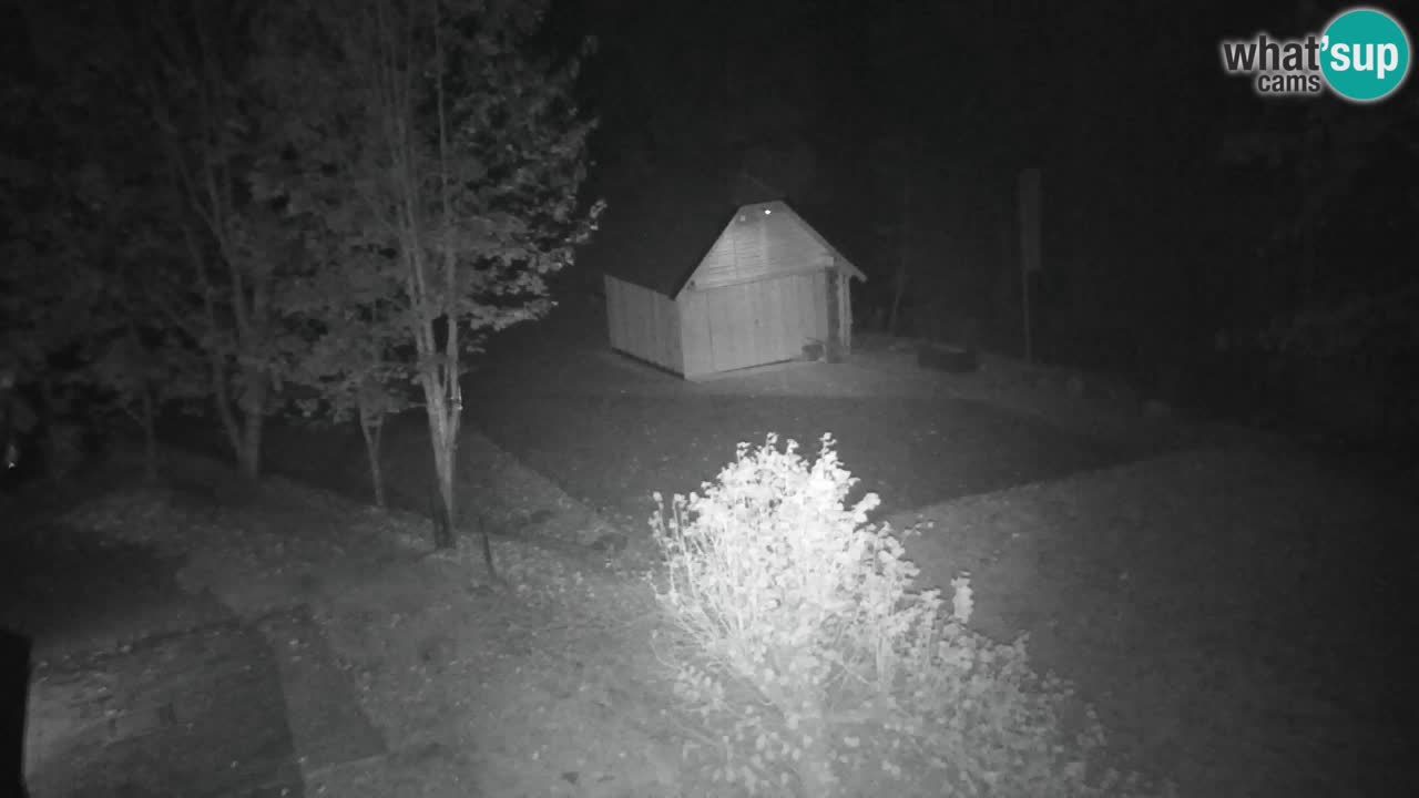 Webcam Lukanja – Water Village | Pohorje Houses