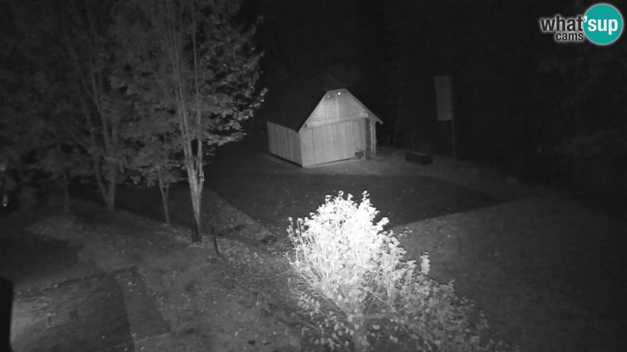 Webcam Lukanja – Water Village | Pohorje Houses
