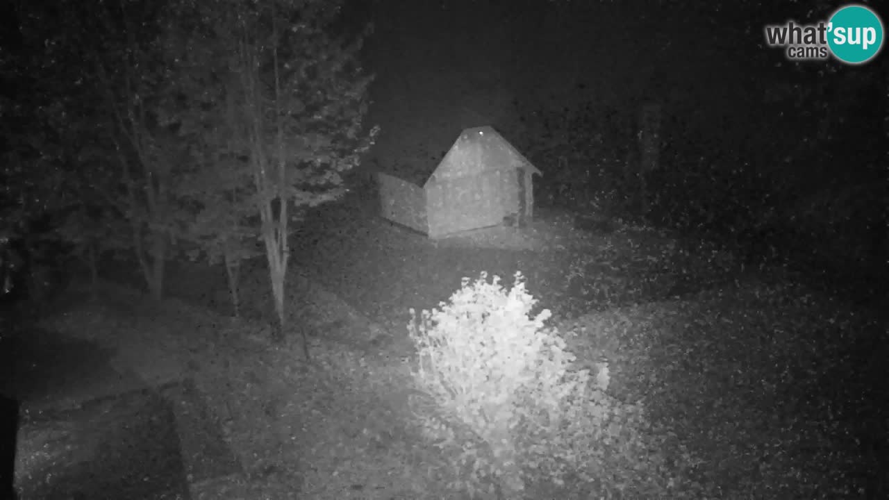 Webcam Lukanja – Water Village | Pohorje Houses