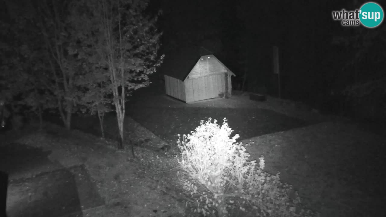 Spletna kamera Lukanja – Water Village | Pohorje Houses