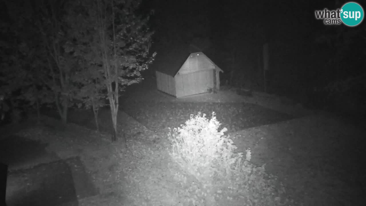 Webcam Lukanja – Water Village | Pohorje Houses