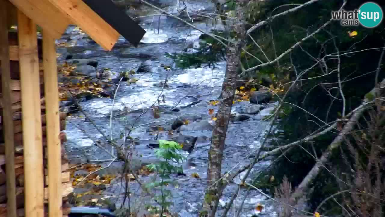 Webcam Lukanja – Water Village | Pohorje Houses
