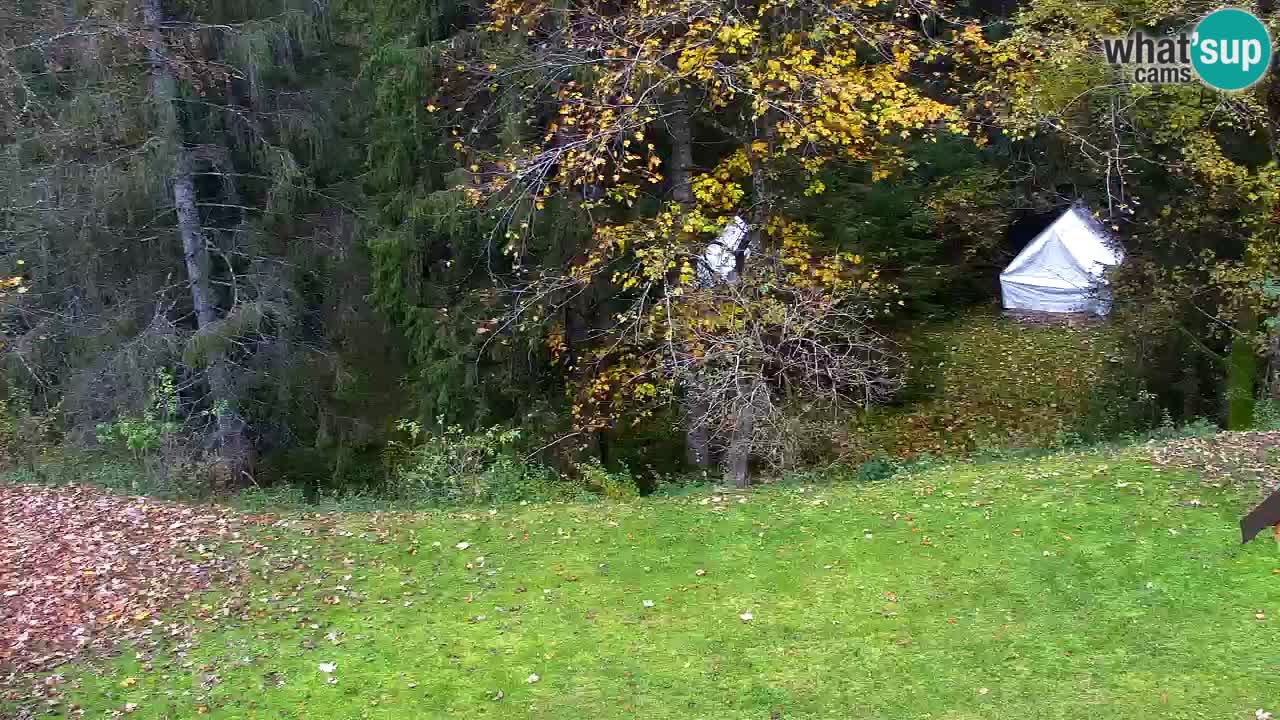 Webcam Lukanja – Water Village | Pohorje Houses