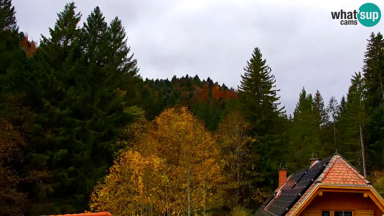 Webcam Lukanja – Water Village | Pohorje Houses