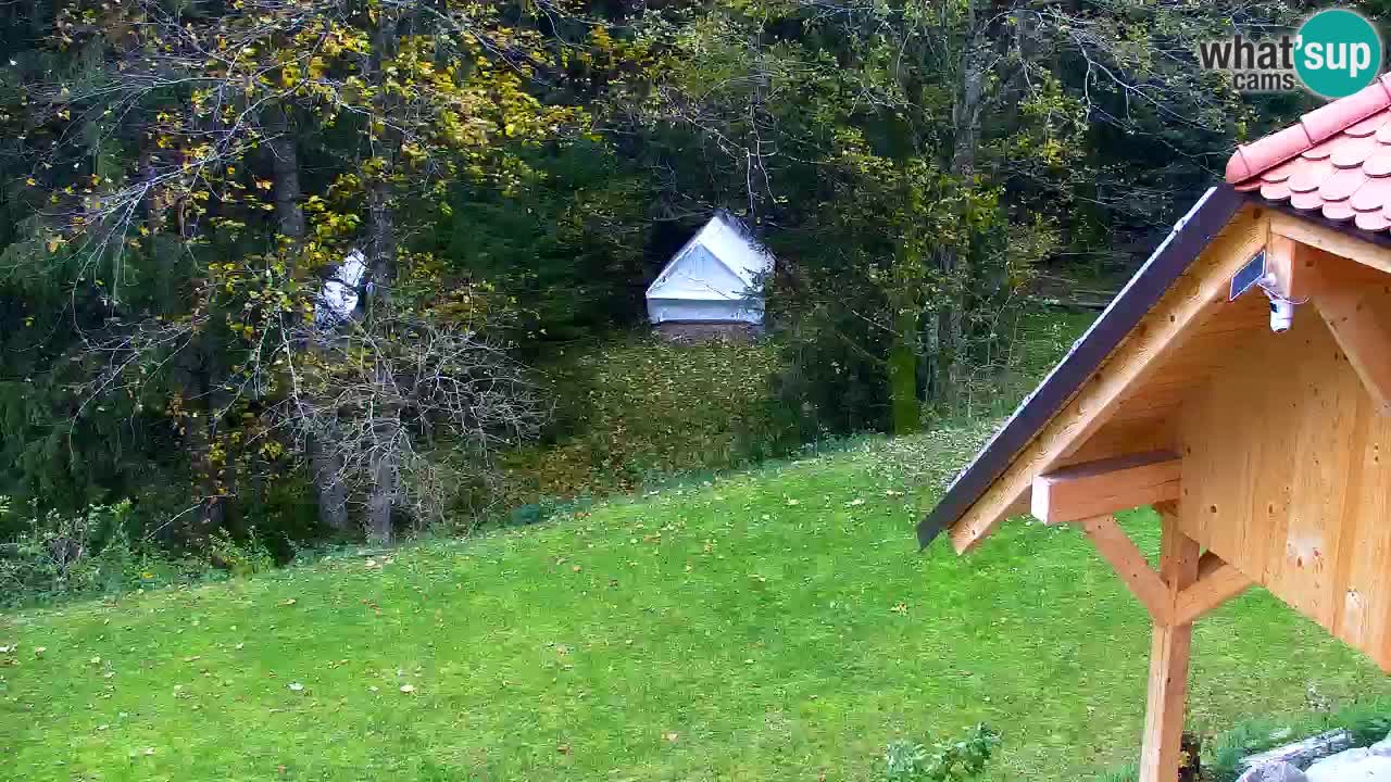 Webcam Lukanja – Water Village | Pohorje Houses