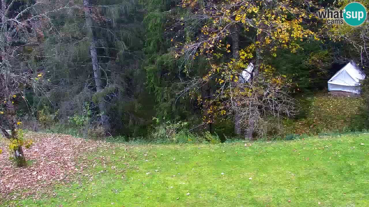 Webcam Lukanja – Pohorje houses a Water village