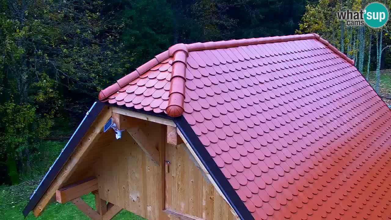 Webcam Lukanja – Water Village | Pohorje Houses