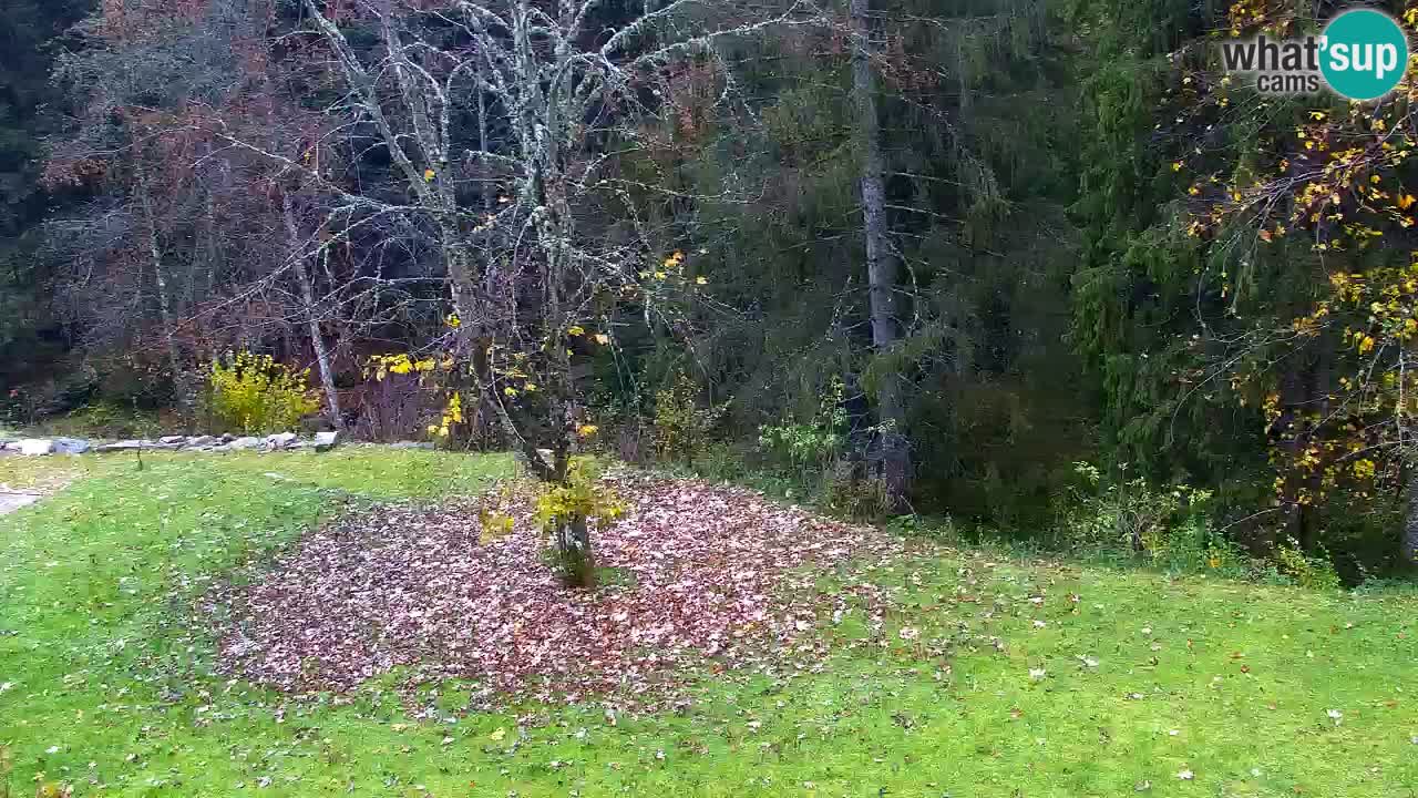 Webcam Lukanja – Pohorje houses a Water village