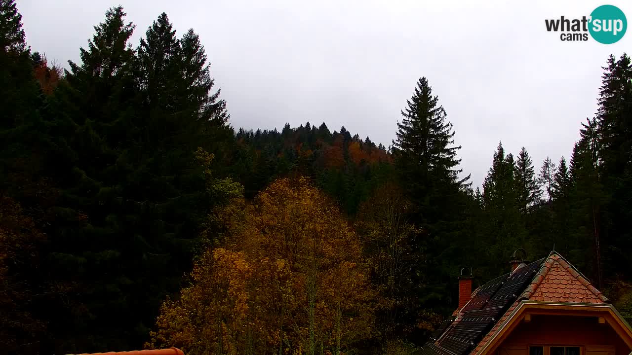 Spletna kamera Lukanja – Water Village | Pohorje Houses