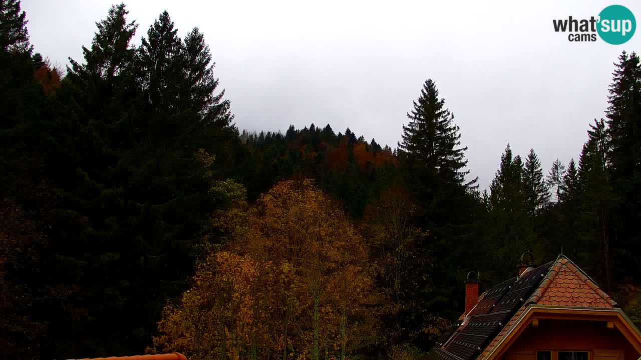 Webcam Lukanja – Pohorje houses a Water village