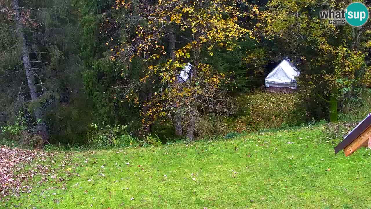 Webcam Lukanja – Water Village | Pohorje Houses