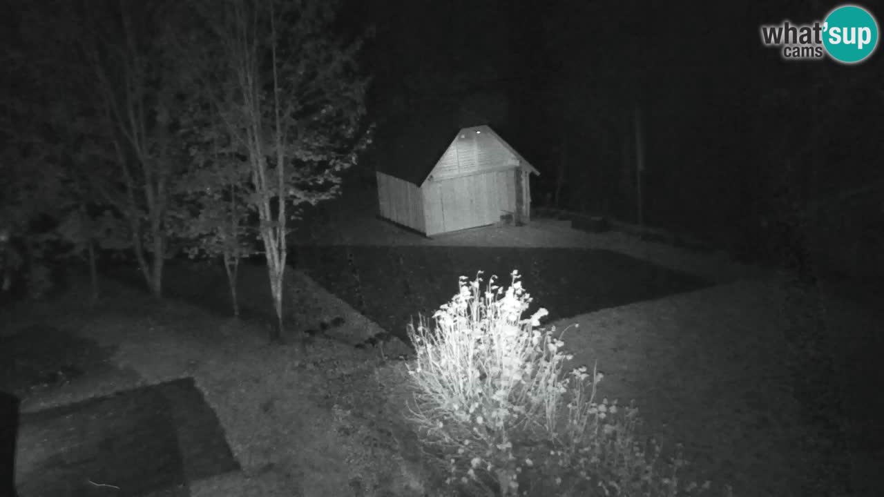 Webcam Lukanja – Water Village | Pohorje Houses