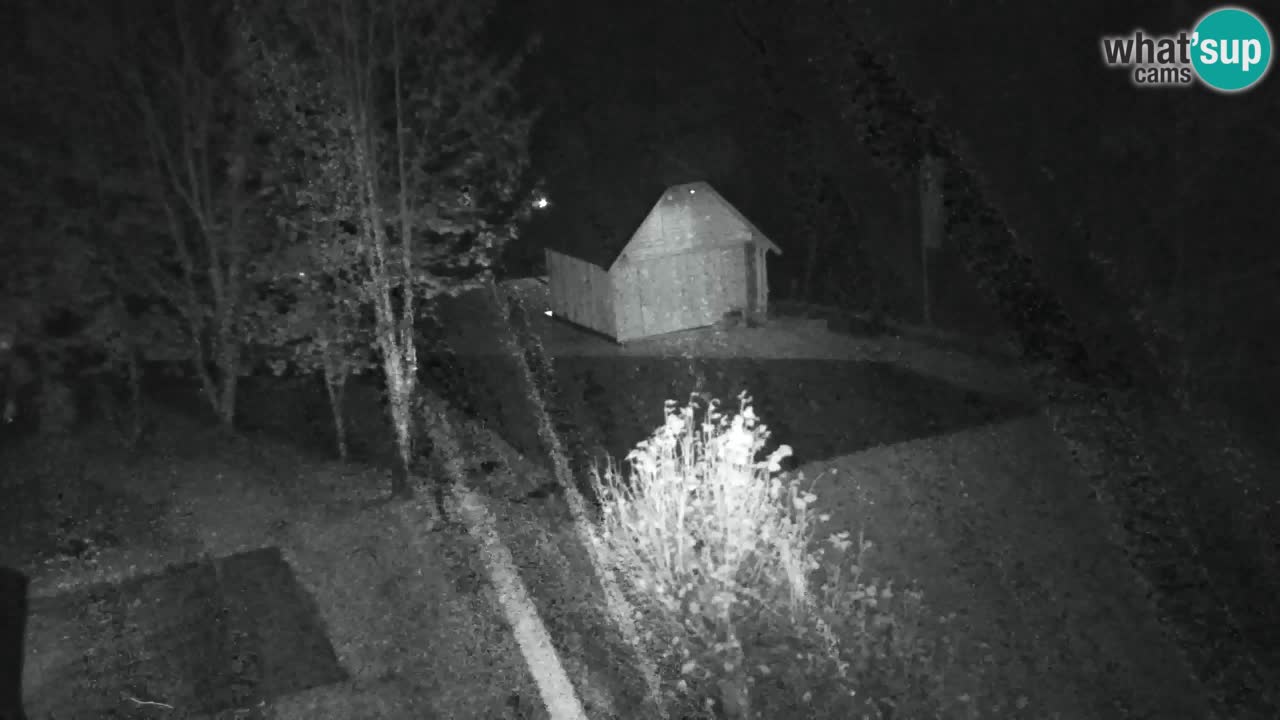 Webcam Lukanja – Pohorje houses a Water village