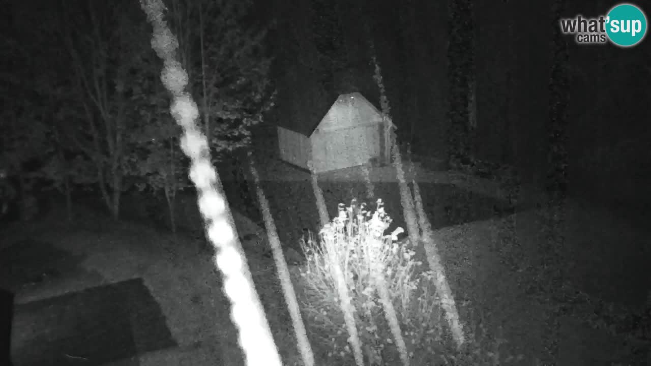 Webcam Lukanja – Water Village | Pohorje Houses