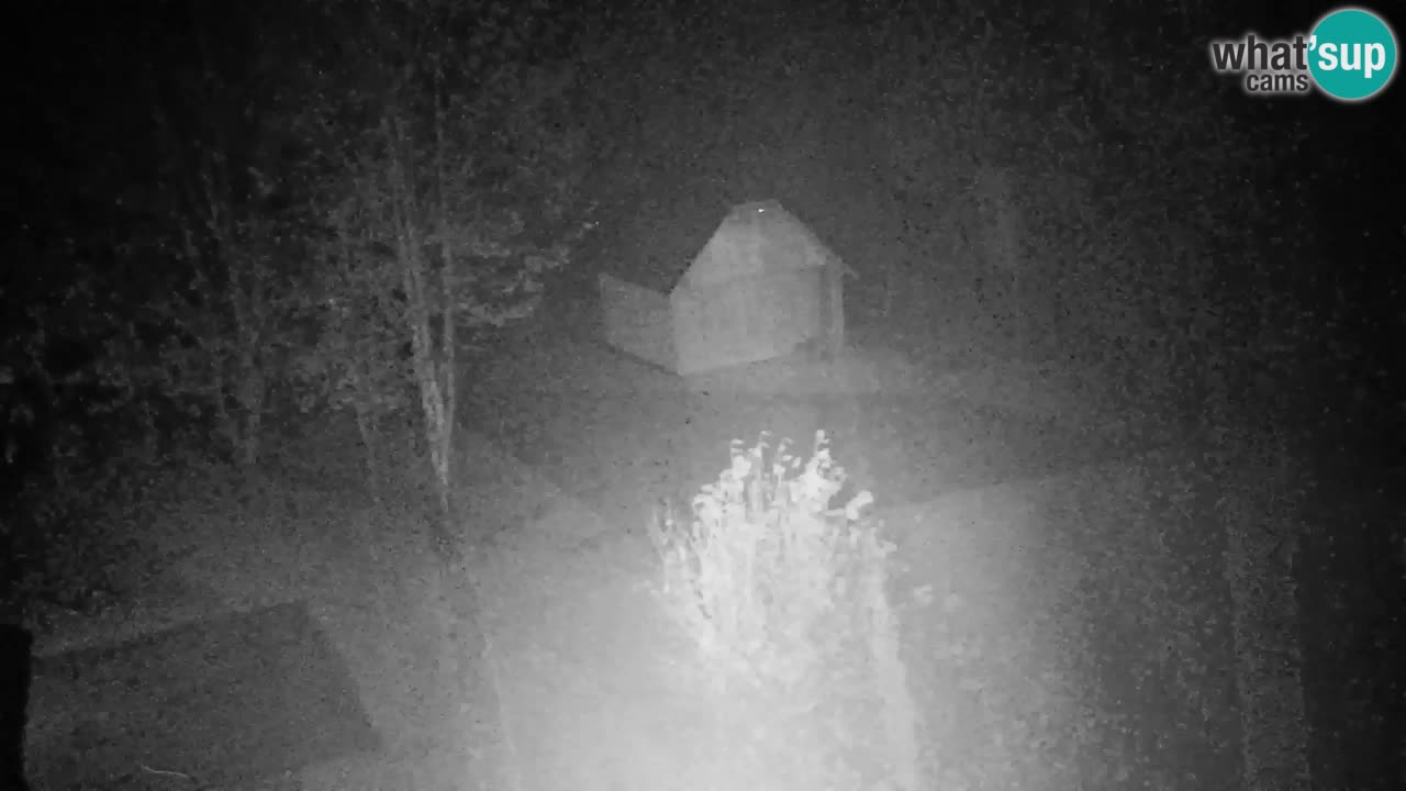 Webcam Lukanja – Water Village | Pohorje Houses