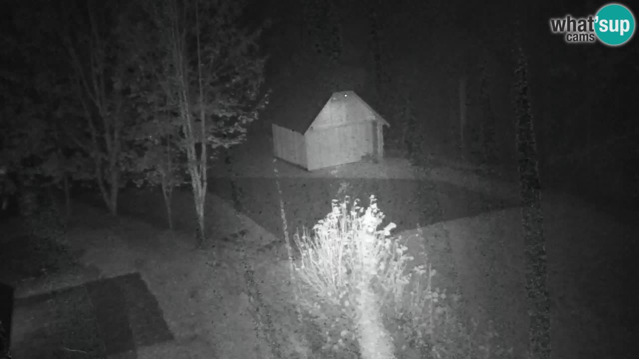 Webcam Lukanja – Pohorje houses a Water village