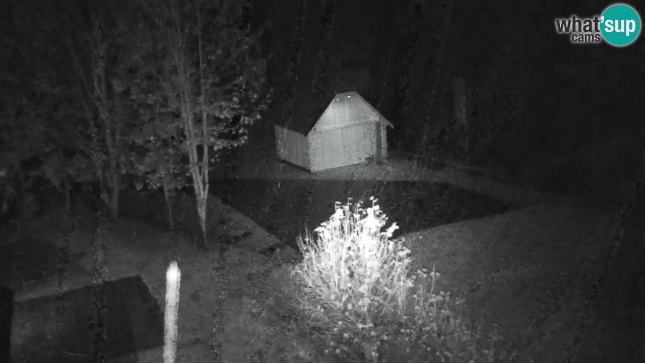 Webcam Lukanja – Water Village | Pohorje Houses