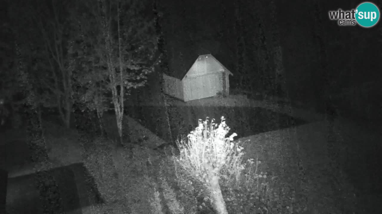 Webcam Lukanja – Pohorje houses a Water village