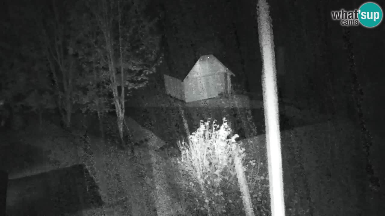 Webcam Lukanja – Pohorje houses a Water village