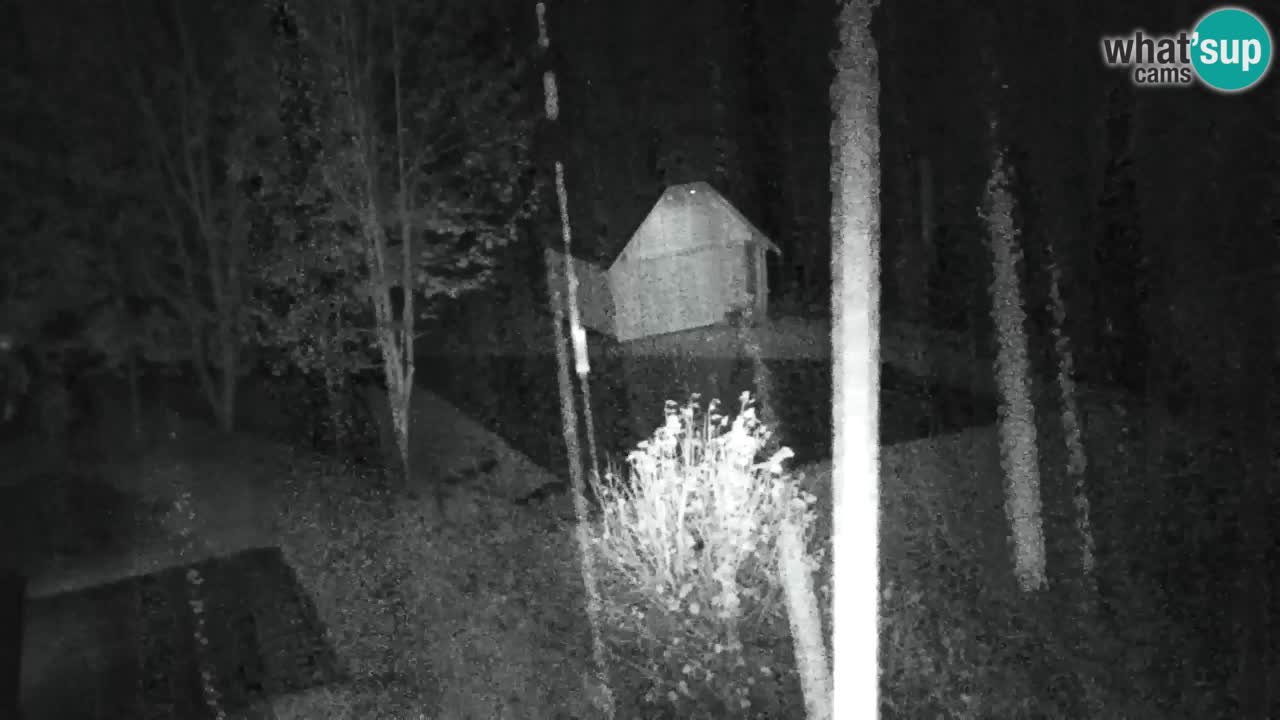 Webcam Lukanja – Water Village | Pohorje Houses