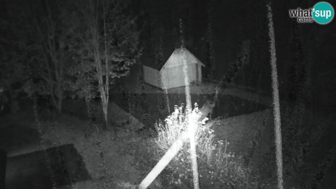 Webcam Lukanja – Pohorje houses a Water village