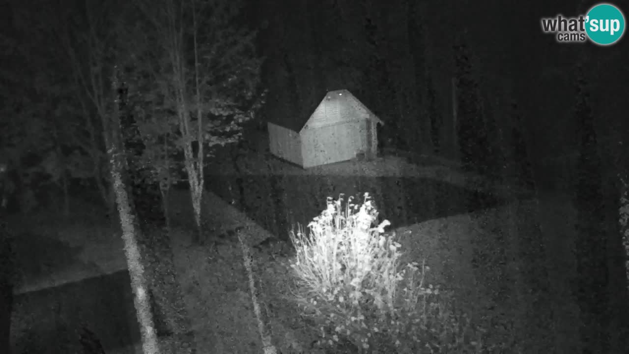 Webcam Lukanja – Water Village | Pohorje Houses