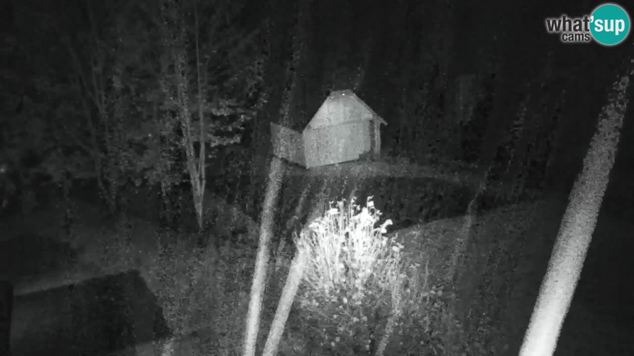 Webcam Lukanja – Water Village | Pohorje Houses
