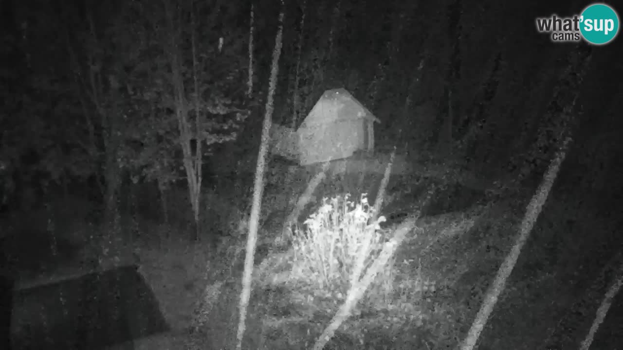 Webcam Lukanja – Pohorje houses a Water village