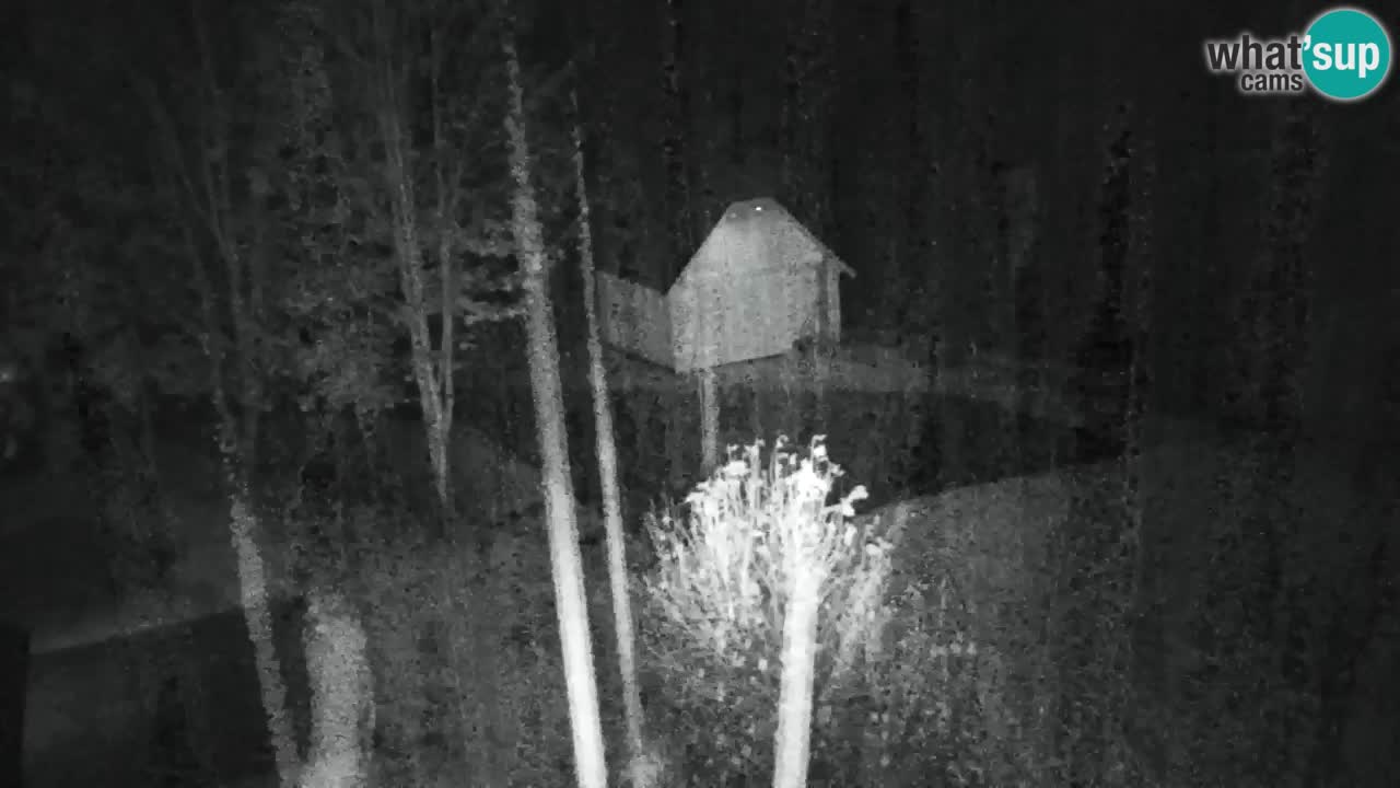 Webcam Lukanja – Water Village | Pohorje Houses