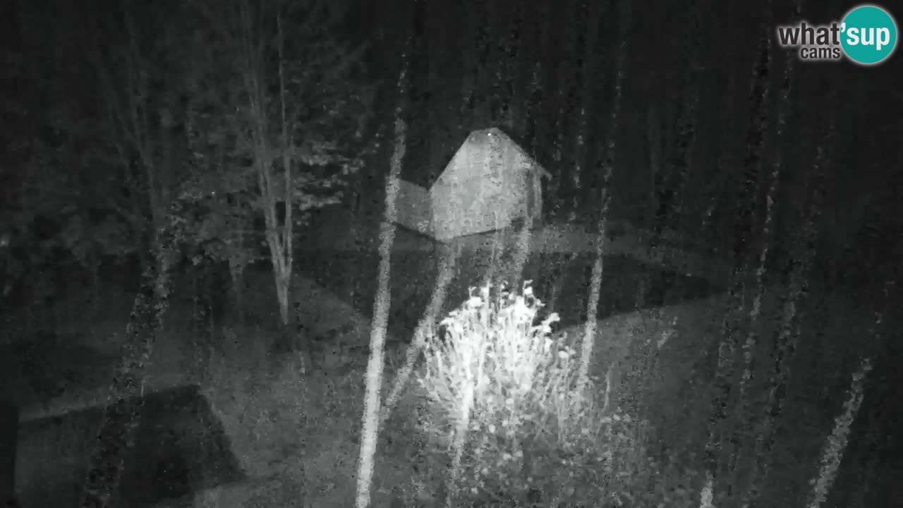 Webcam Lukanja – Pohorje houses a Water village