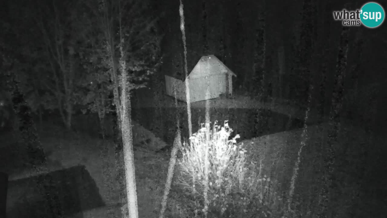 Webcam Lukanja – Water Village | Pohorje Houses