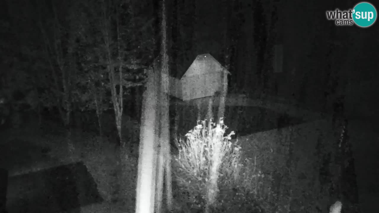 Webcam Lukanja – Pohorje houses a Water village