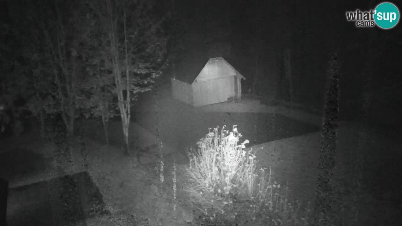 Webcam Lukanja – Pohorje houses a Water village
