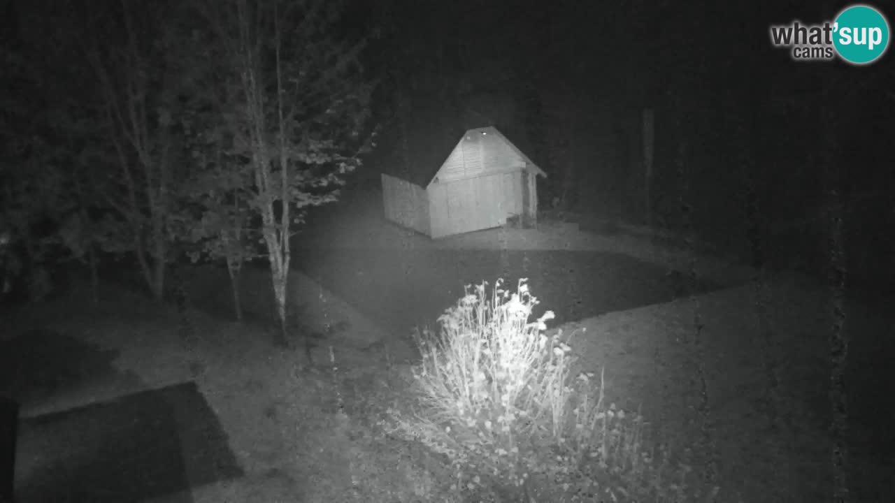 Webcam Lukanja – Water Village | Pohorje Houses