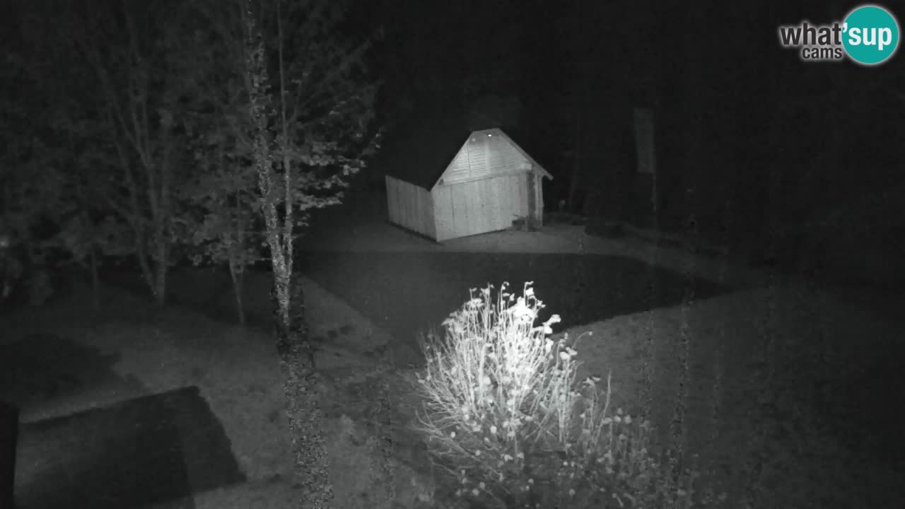 Webcam Lukanja – Pohorje houses a Water village
