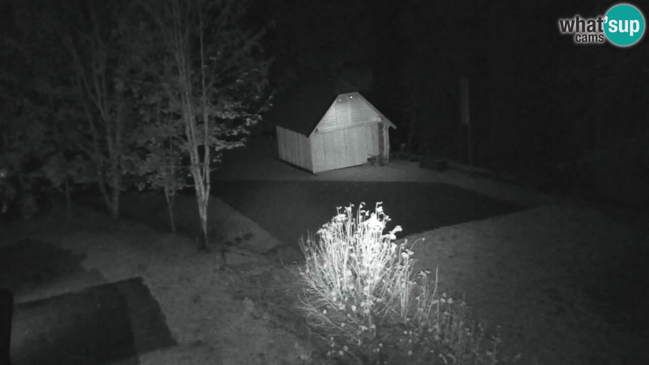 Webcam Lukanja – Pohorje houses a Water village