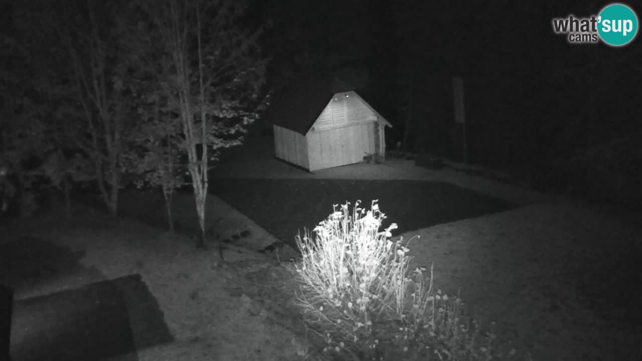 Webcam Lukanja – Pohorje houses a Water village