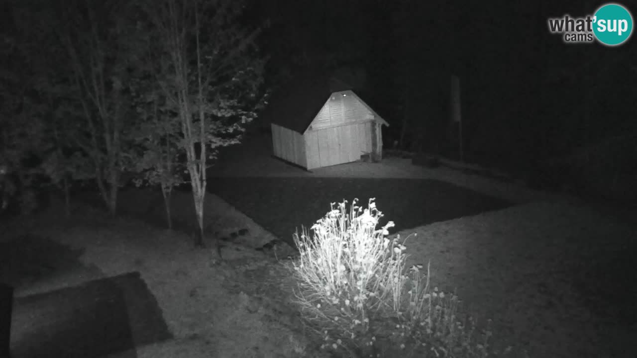 Webcam Lukanja – Water Village | Pohorje Houses