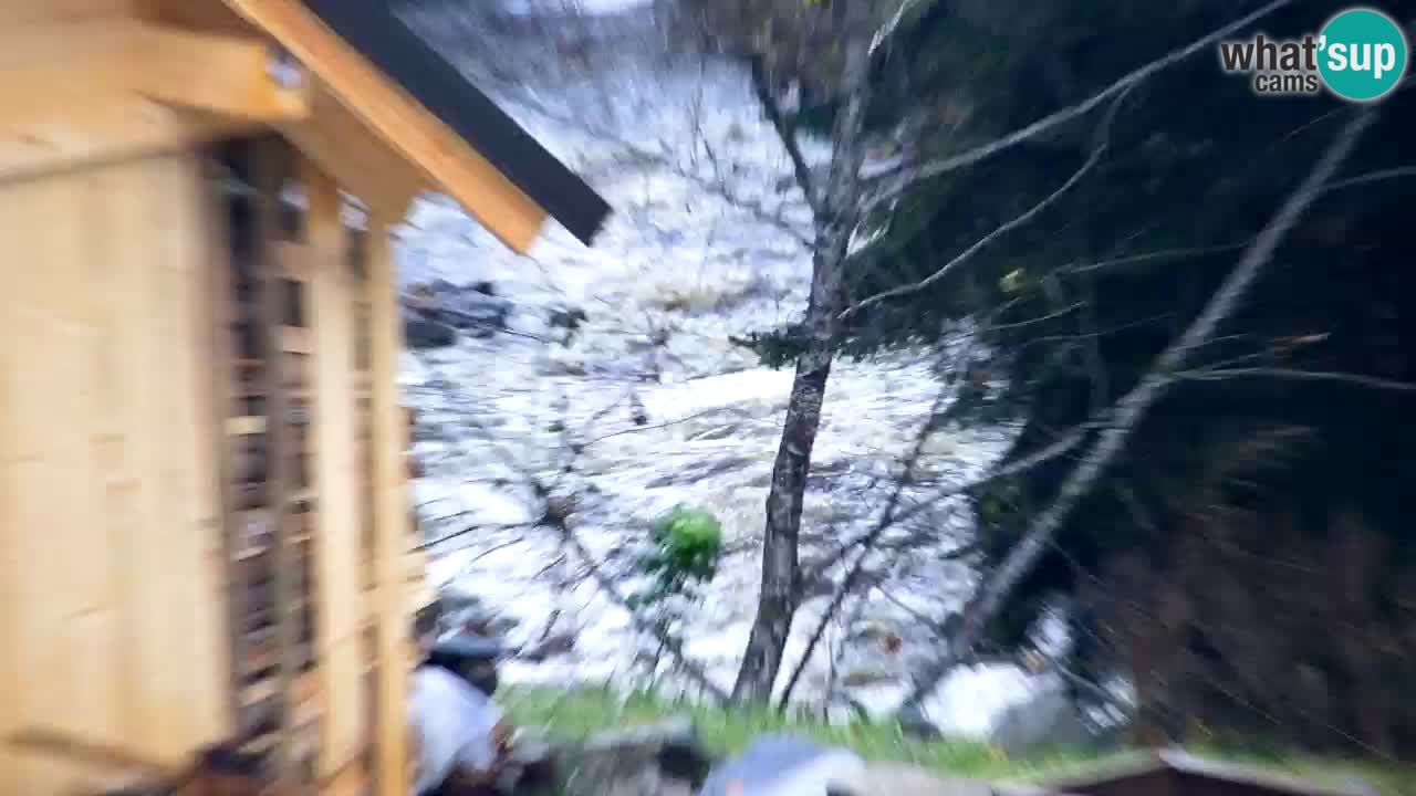 Webcam Lukanja – Pohorje houses a Water village