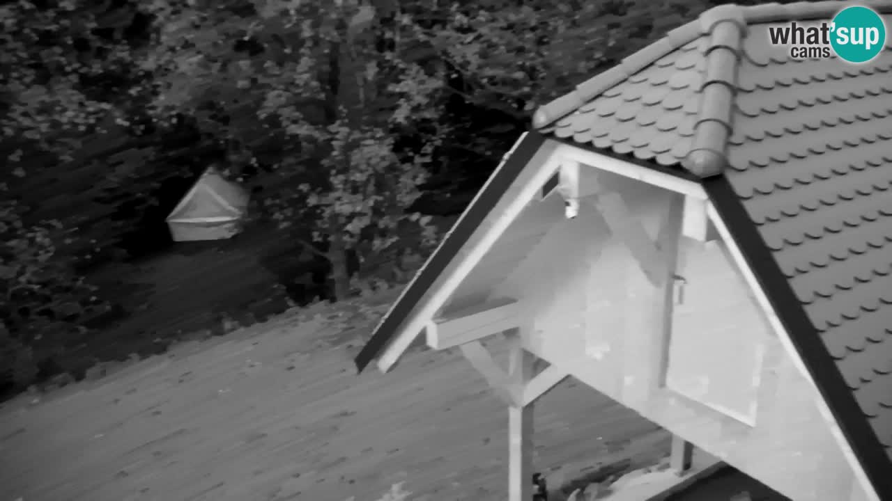 Webcam Lukanja – Water Village | Pohorje Houses