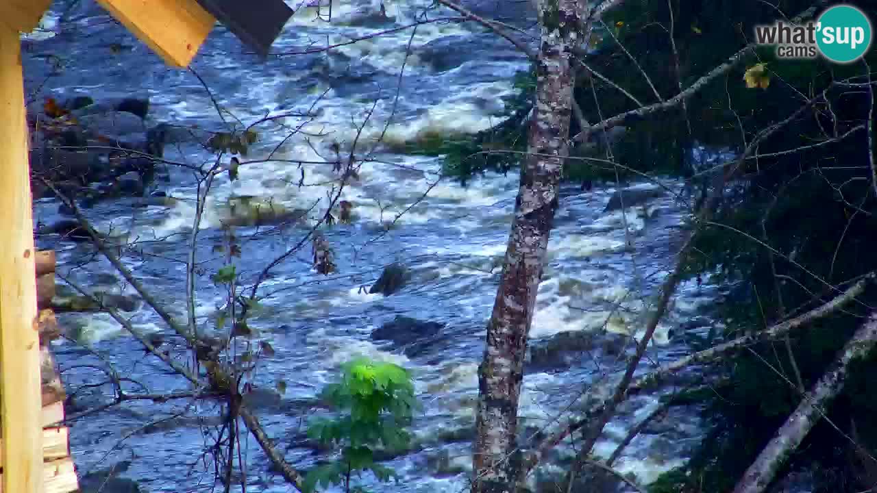 Webcam Lukanja – Water Village | Pohorje Houses