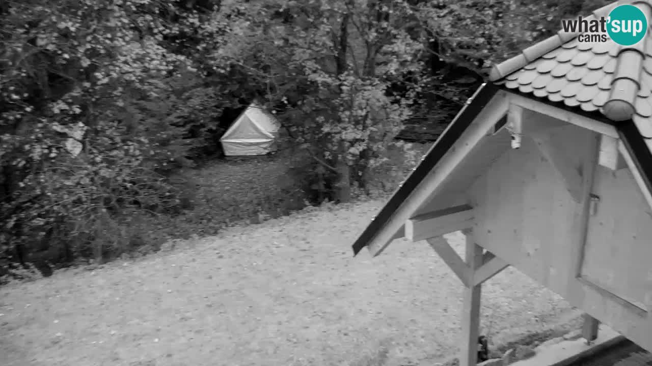 Webcam Lukanja – Water Village | Pohorje Houses