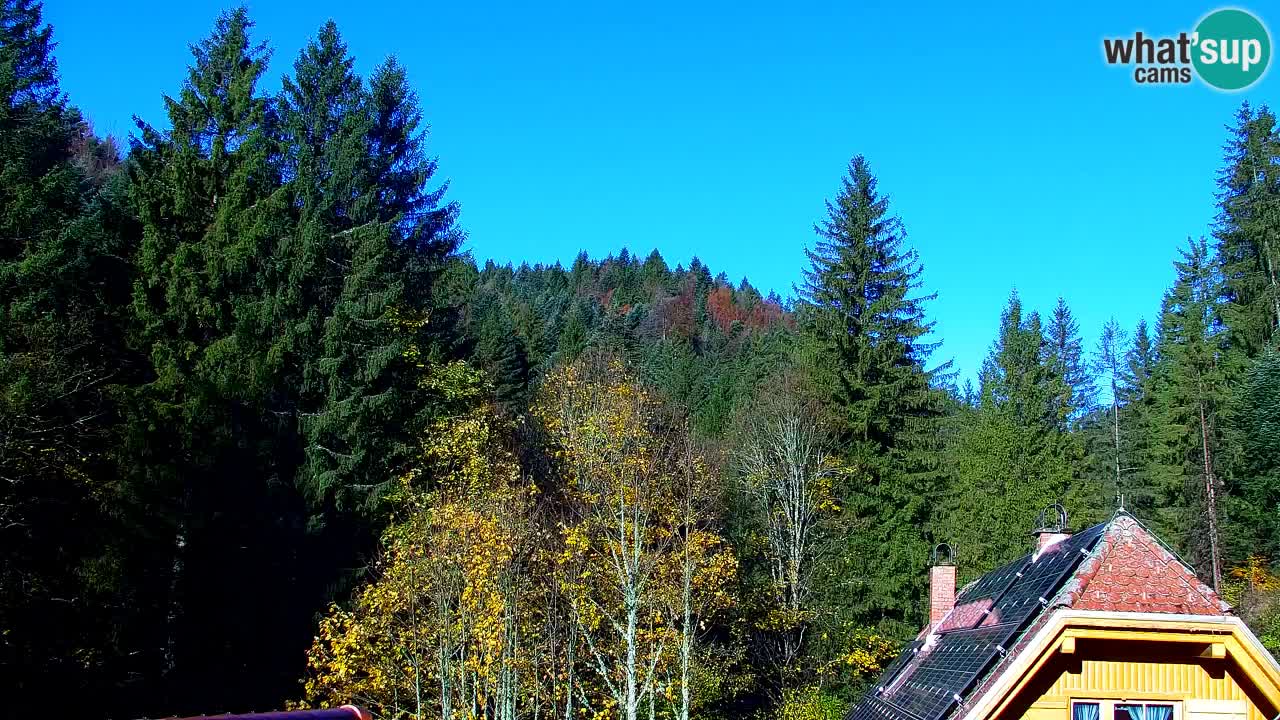 Webcam Lukanja – Water Village | Pohorje Houses