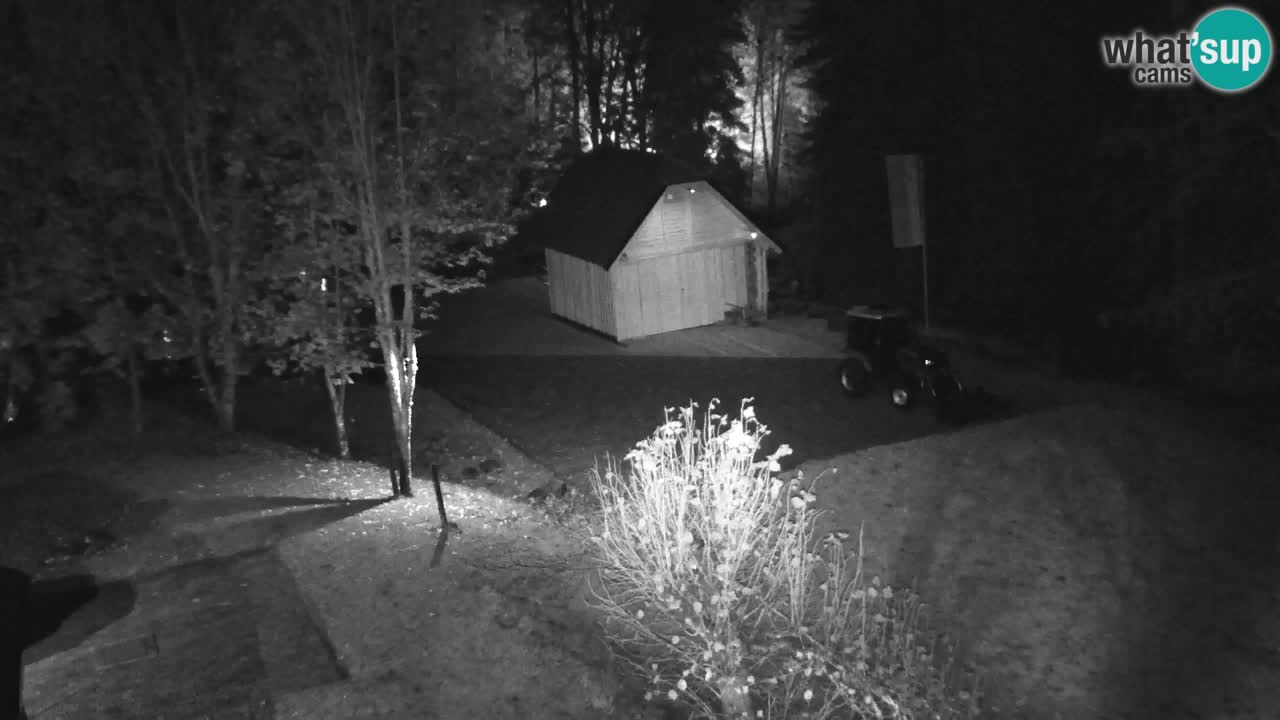 Webcam Lukanja – Pohorje houses a Water village