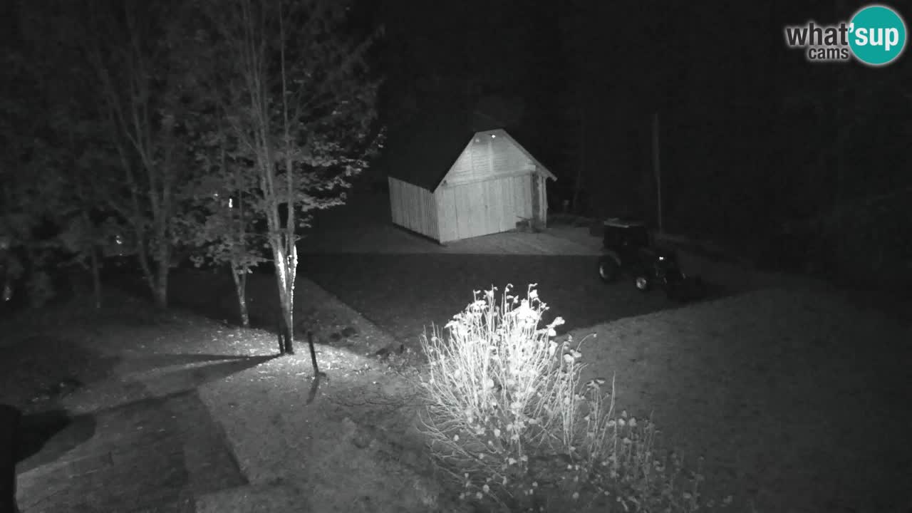 Webcam Lukanja – Pohorje houses a Water village