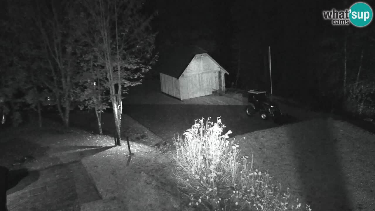 Webcam Lukanja – Pohorje houses a Water village