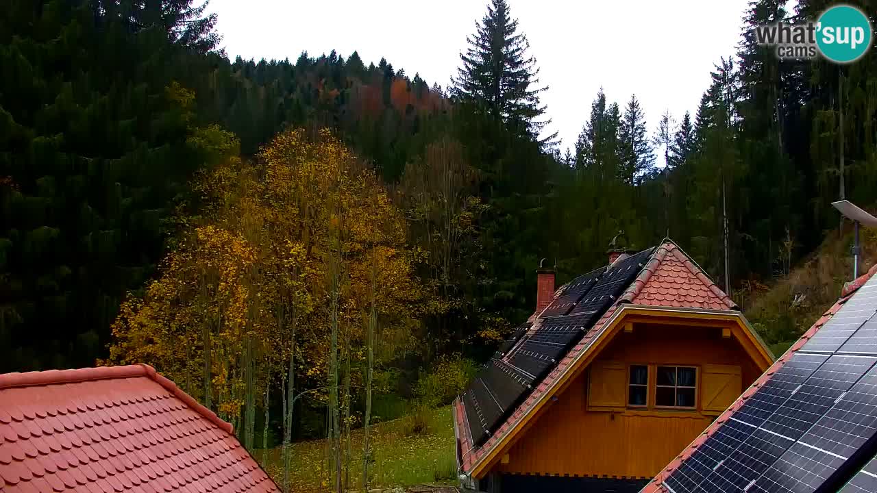 Spletna kamera Lukanja – Water Village | Pohorje Houses