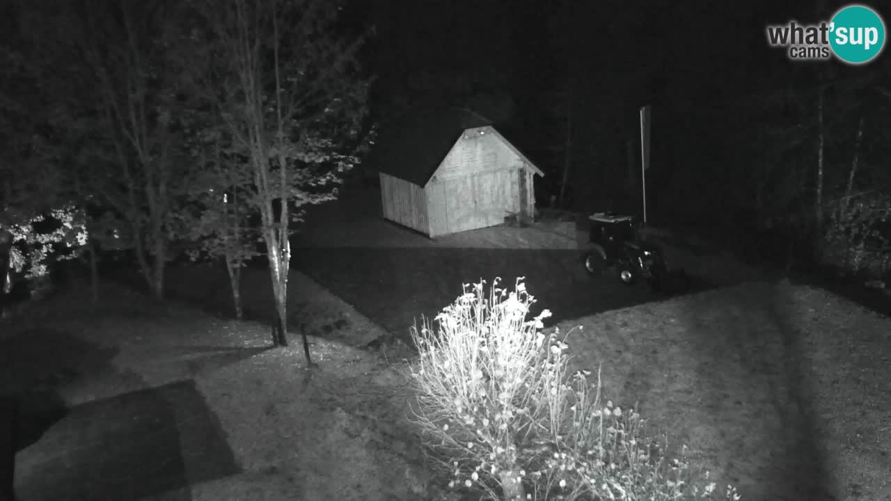 Webcam Lukanja – Water Village | Pohorje Houses