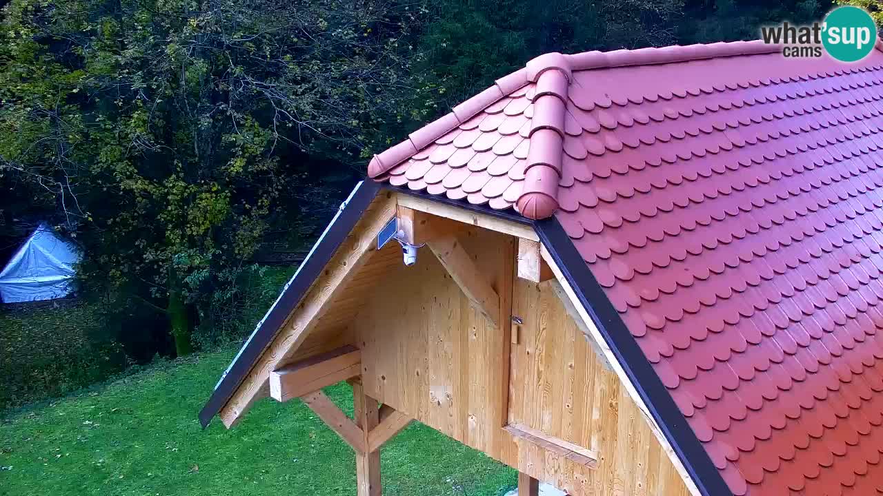 Webcam Lukanja – Pohorje houses a Water village