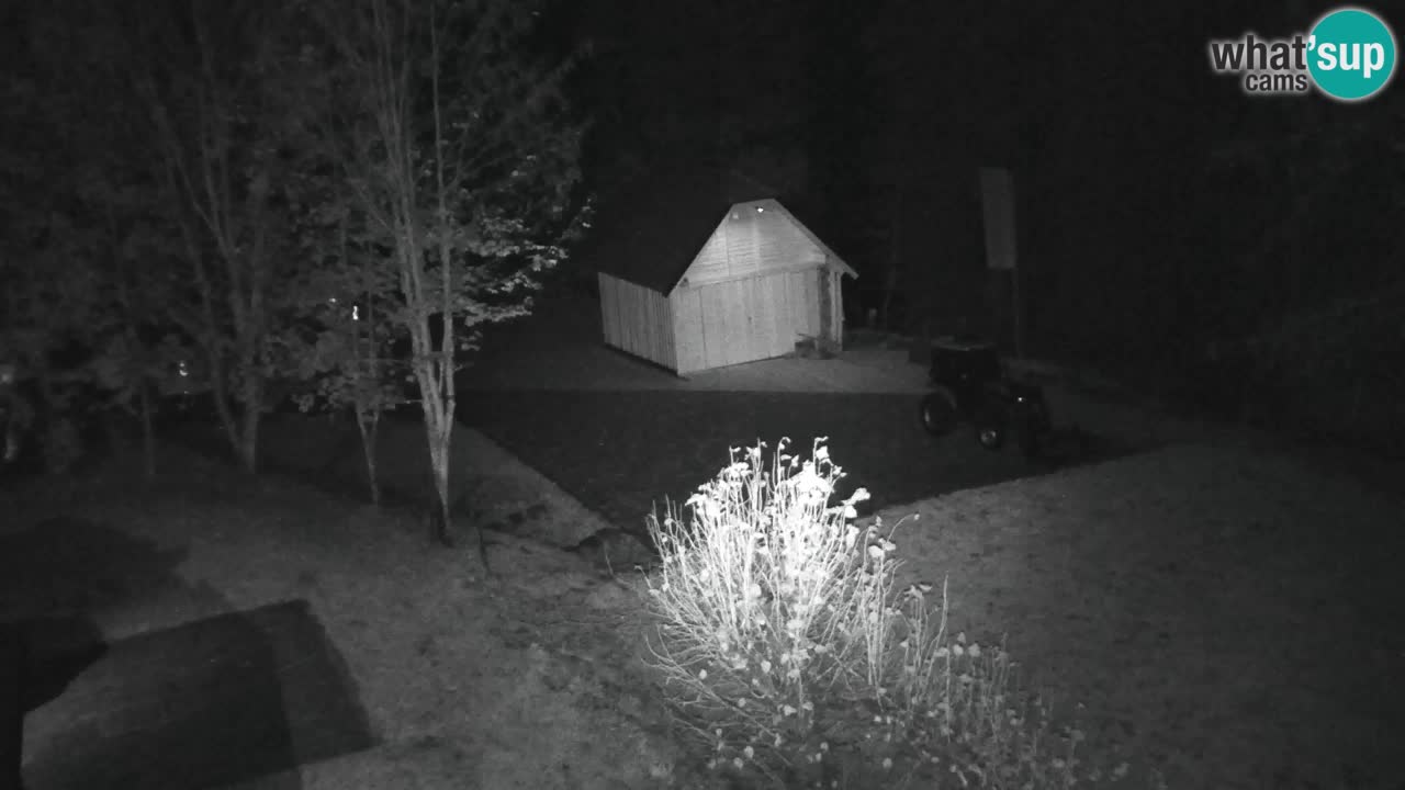 Webcam Lukanja – Pohorje houses a Water village
